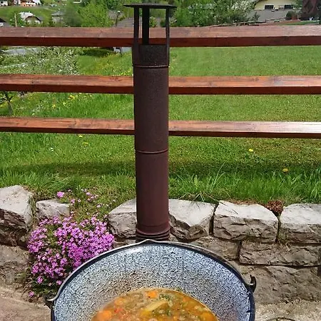 Gasthof Schonblick 3* Russbach am Pass Gschütt