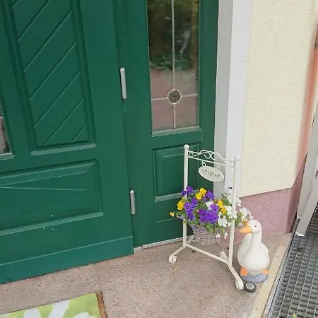 Hotel Gasthof Schonblick Russbach am Pass Gschütt