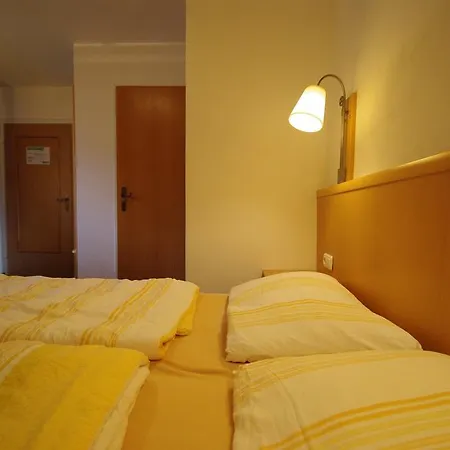 Hotel Gasthof Schonblick Russbach am Pass Gschütt