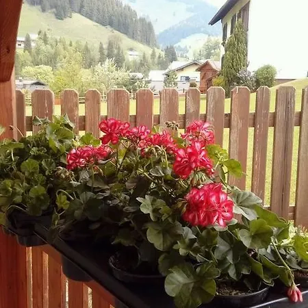 Hotel Gasthof Schonblick 3*