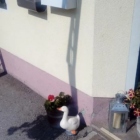 Gasthof Schonblick Hotel Russbach am Pass Gschütt